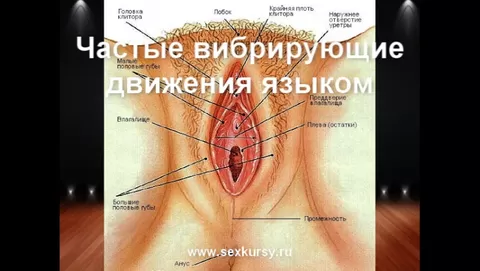 Как правильно делать хороший куни